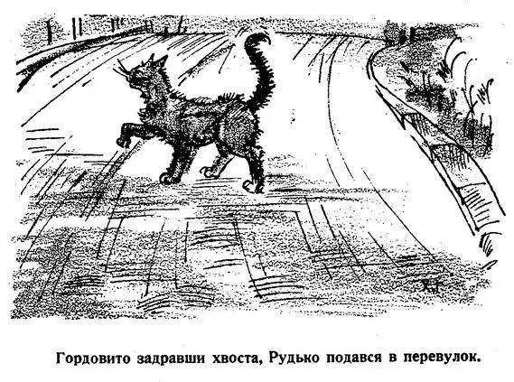 Вранці я викликала телефоном пана Олексу свого приятеля ще з Европи та - фото 5