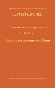 Сергей Шкенёв Каникулы принцессы Илии [СИ] обложка книги