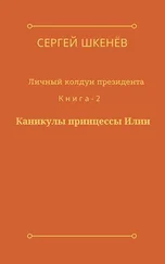 Сергей Шкенёв - Каникулы принцессы Илии [СИ]