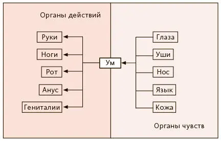 Десять сыновей Брахмы В результате рождаются десять его сыновей праджапати - фото 31