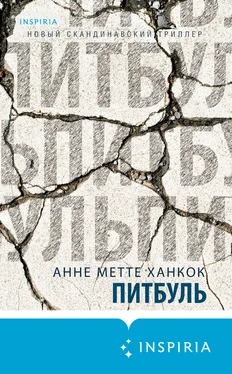 Анне Ханкок Питбуль обложка книги