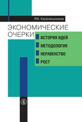 Ростислав Капелюшников - Экономические очерки. История идей, методология, неравенство и рост