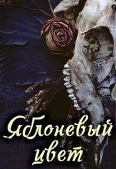 Jaira D - Яблоневый цвет [СИ]