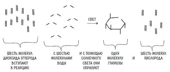 Кстати если вы когдалибо гуглили какоето химическое вещество то вы - фото 13