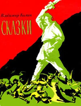 Владимир Колин Младен — сын медведя обложка книги