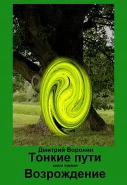 Дмитрий Воронин Возрождение обложка книги