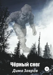 Дима Завров - Чёрный снег