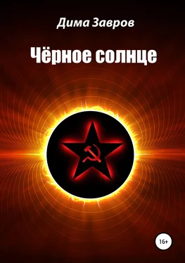 Дима Завров Чёрное солнце обложка книги