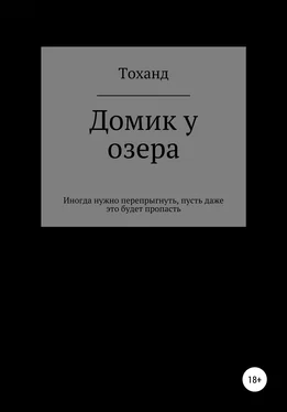 Андрей Тоханд Домик у озера [litres самиздат] обложка книги
