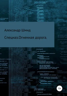 Александр Шмид Спецназ. Огненная дорога. [litres самиздат] обложка книги