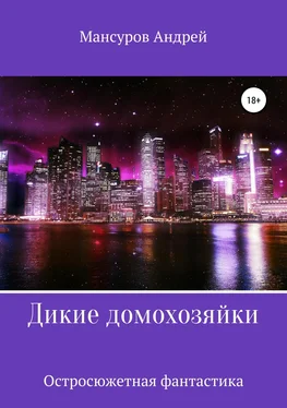 Андрей Мансуров Дикие Домохозяйки [litres самиздат] обложка книги