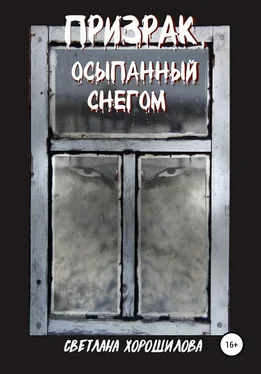 Светлана Хорошилова Призрак, осыпанный снегом [litres самиздат] обложка книги