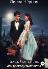 Лисса Черная - Забытая кровь, или Возродить суккуба [litres самиздат]