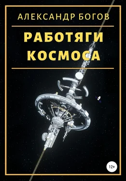 Александр Богов Работяги космоса [litres самиздат] обложка книги