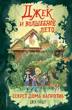 Джек Райдер Секрет дома напротив [litres] обложка книги