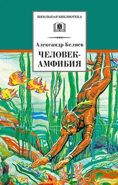 Александр Беляев Человек-амфибия [сборник] обложка книги