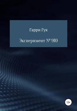 Гарри Гук Эксперимент № 910 [litres самиздат] обложка книги