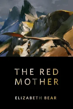 Элизабет Бир The Red Mother обложка книги