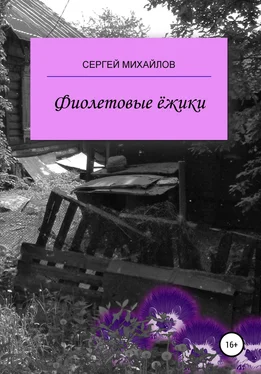 Сергей Михайлов Фиолетовые ёжики [litres самиздат] обложка книги