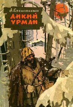 Анатолий Севастьянов Дикий Урман обложка книги