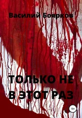 Василий Боярков - Только не в этот раз