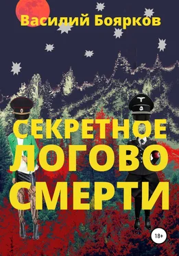 Василий Боярков Секретное логово смерти обложка книги