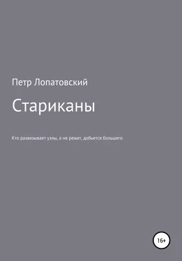Петр Лопатовский Стариканы обложка книги