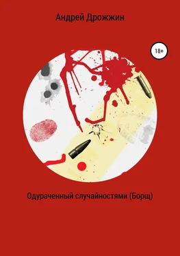 Андрей Дрожжин Одураченный случайностями (Борщ) обложка книги