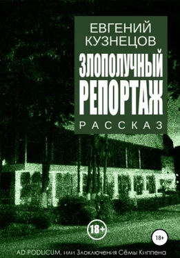 Евгений Кузнецов Злополучный репортаж обложка книги