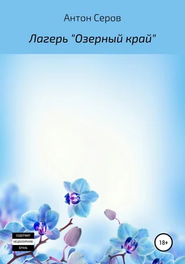 Антон Серов Лагерь «Озерный край» обложка книги