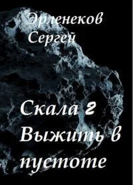 Сергей Эрленеков Скала 2. Выжить в пустоте обложка книги