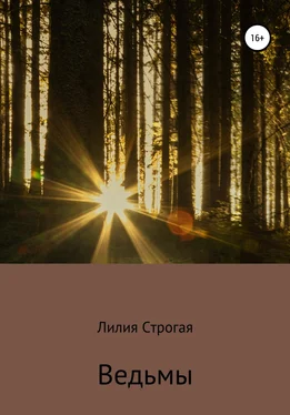 Лилия Строгая Ведьмы обложка книги