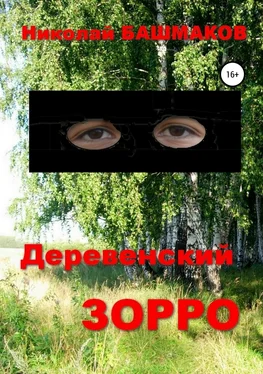 Николай Башмаков Деревенский Зорро обложка книги