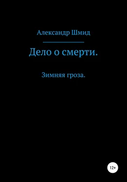 Александр Шмид Дело о смерти. Зимняя гроза обложка книги