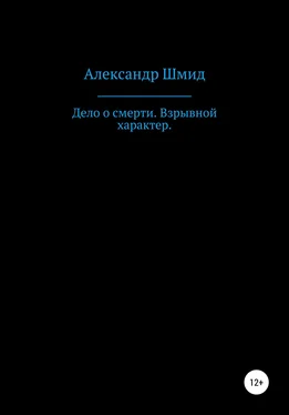 Александр Шмид Дело о смерти. Взрывной характер обложка книги