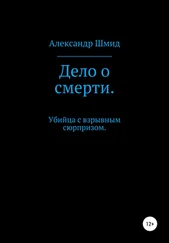 Александр Шмид - Дело о смерти. Убийца с взрывным сюрпризом