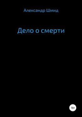 Александр Шмид Дело о смерти обложка книги