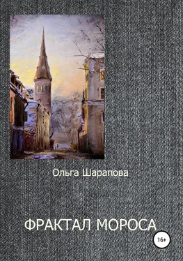 Ольга Шарапова Фрактал Мороса [litres самиздат] обложка книги