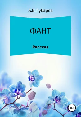 Алексей Губарев Фант обложка книги