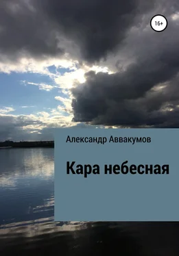 Александр Аввакумов Кара небесная [litres самиздат] обложка книги