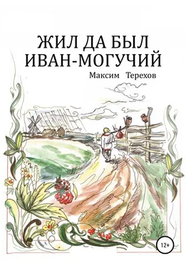 Максим Терехов Жил да был Иван могучий обложка книги