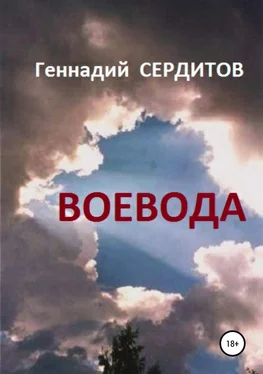 Геннадий Сердитов Воевода [litres самиздат] обложка книги