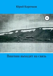 Юрий Корочков - Пингвин выходит на связь