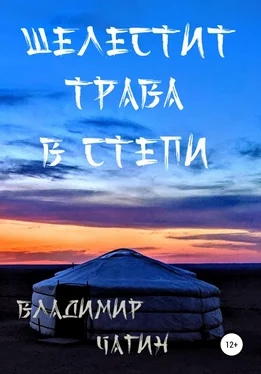 Владимир Чагин Шелестит трава в степи обложка книги