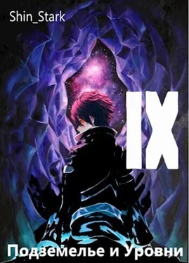 Shin_Stark В подземелье я пойду, там свой level подниму IX (СИ) обложка книги