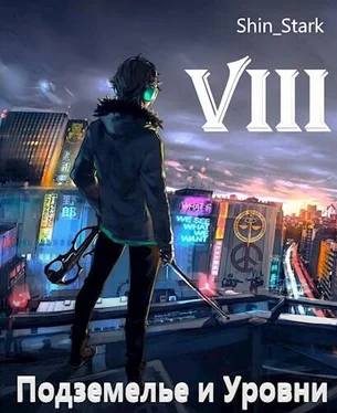 Shin Stark В подземелье я пойду, там свой level подниму VIII [СИ] обложка книги