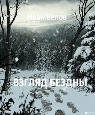 Иван Белов Взгляд бездны обложка книги