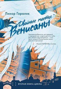 Линор Горалик Двойные мосты Венисаны [litres] обложка книги