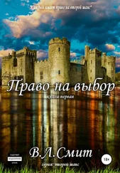 В.Л Смит - Право на выбор