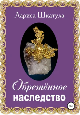 Лариса Шкатула Обретённое наследство обложка книги